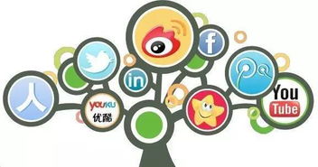 新媒体环境下的全网营销、品牌管理与单位后勤管理服务融合实践指南