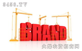 品牌建设与管理 在竞争大环境下构筑企业核心优势